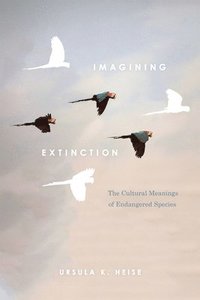 bokomslag Imagining Extinction