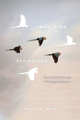 Ursula K. Heise - Imagining Extinction, Häftad