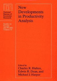 bokomslag New Developments in Productivity Analysis