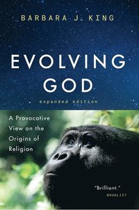 bokomslag Evolving God