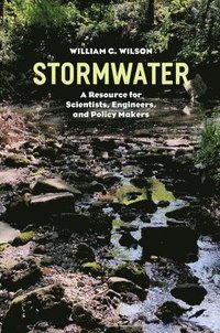 bokomslag Stormwater