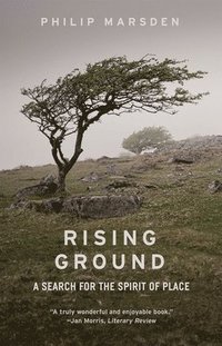 bokomslag Rising Ground