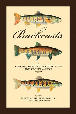 bokomslag Backcasts