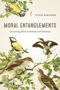 bokomslag Moral Entanglements