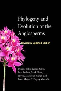 bokomslag Phylogeny and Evolution of the Angiosperms