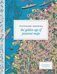 bokomslag Picturing America