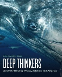 bokomslag Deep Thinkers: Inside the Minds of Whales, Dolphins, and Porpoises
