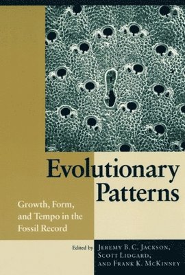 Jeremy B. C. Jackson, Scott Lidgard, Frank K. McKinney - Evolutionary Patterns, Inbunden
