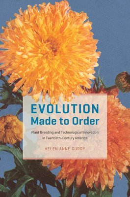 Helen Anne Curry - Evolution Made to Order, Inbunden
