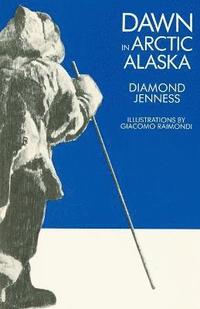 bokomslag Dawn in Arctic Alaska