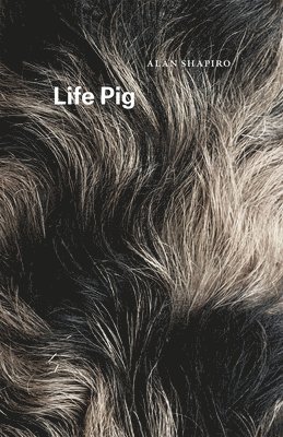 Alan Shapiro - Life Pig, Häftad