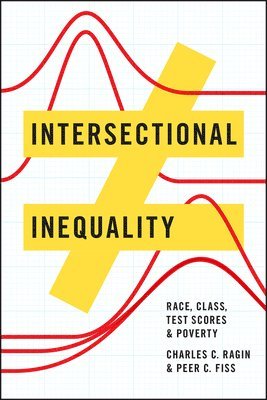 Charles C. Ragin, Peer C. Fiss, Peer Fiss - Intersectional Inequality, Inbunden