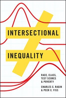 Intersectional Inequality 1