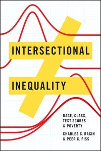 bokomslag Intersectional Inequality  Race, Class, Test Scores, and Poverty