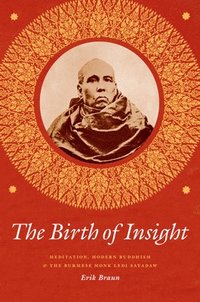 bokomslag The Birth of Insight