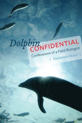 Dolphin Confidential 1