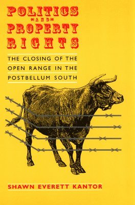 Shawn Everett Kantor - Politics and Property Rights, Häftad