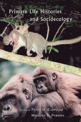 bokomslag Primate Life Histories and Socioecology