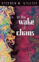 In the Wake of Chaos 1