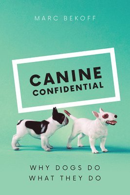 Canine Confidential 1
