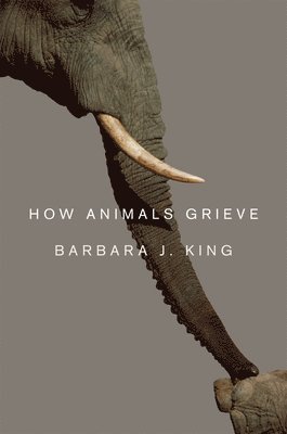 bokomslag How Animals Grieve