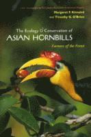 bokomslag The Ecology and Conservation of Asian Hornbills