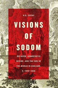 bokomslag Visions of Sodom