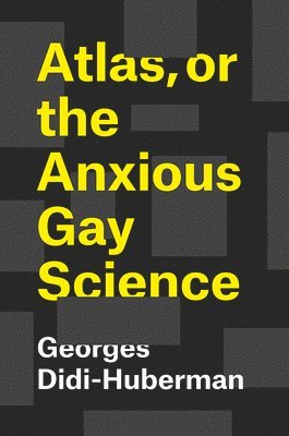 Georges Didi-Huberman, Shane B. Lillis - Atlas, or the Anxious Gay Science, Inbunden
