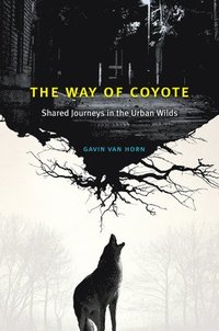 bokomslag The Way of Coyote
