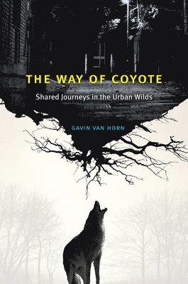 The Way of Coyote 1