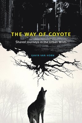 Gavin Van Horn, Gavin Van Horn - Way of Coyote, Inbunden
