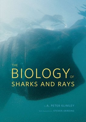 bokomslag The Biology of Sharks and Rays