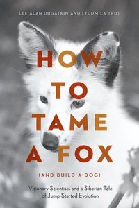 bokomslag How to Tame a Fox (and Build a Dog)
