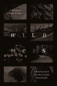 bokomslag Wildness