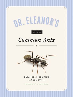 Eleanor Spicer Rice, Alex Wild, Rob Dunn - Dr. Eleanor's Book of Common Ants, Häftad