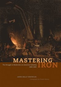 bokomslag Mastering Iron