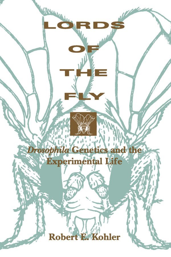 Lords of the Fly
