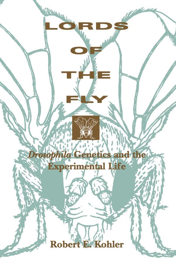 Lords of the Fly 1