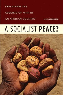 bokomslag Socialist Peace?