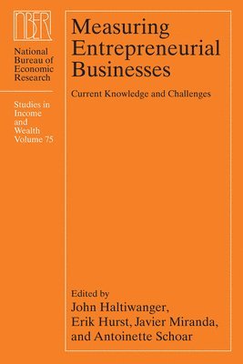 bokomslag Measuring Entrepreneurial Businesses