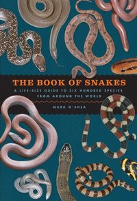 bokomslag The Book of Snakes: A Life-Size Guide to Six Hundred Species from Around the World