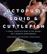 bokomslag Octopus, Squid, and Cuttlefish