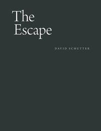 bokomslag The Escape