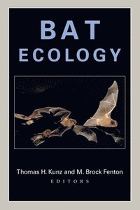bokomslag Bat Ecology