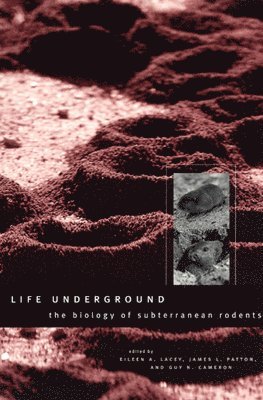 Eileen A. Lacey, James L. Patton, Guy N. Cameron - Life Underground, Inbunden