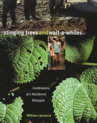 Stinging Trees and Wait-a-Whiles 1