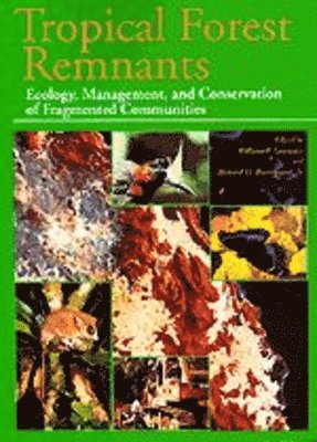 William F. Laurance, Richard O. Bierregaard - Tropical Forest Remnants, Häftad
