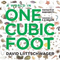bokomslag A World in One Cubic Foot