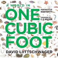 bokomslag World in One Cubic Foot