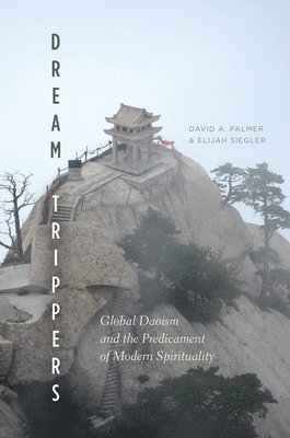 David A. Palmer, Elijah Siegler - Dream Trippers, Häftad